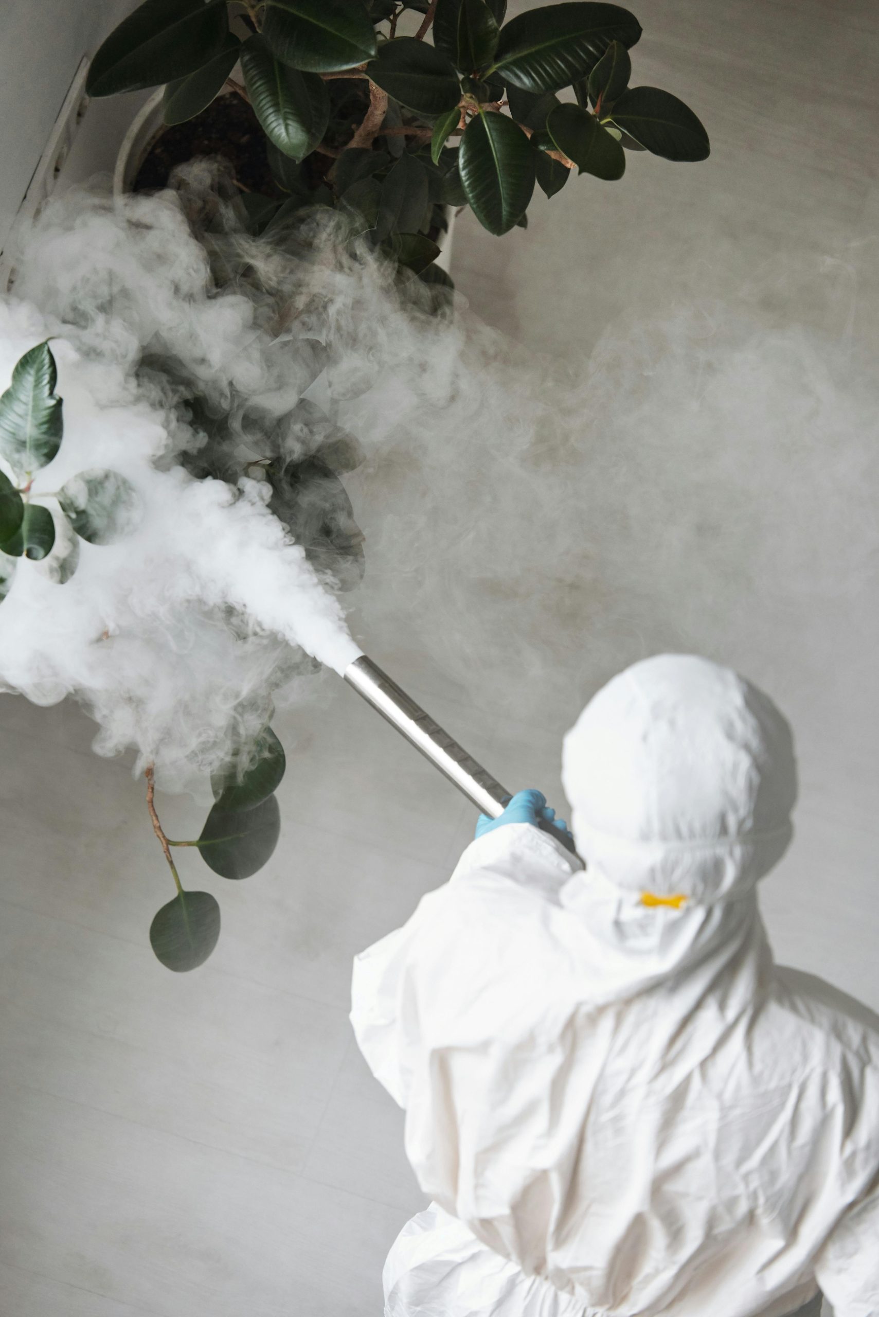 Éliminer les insectes de son appartement