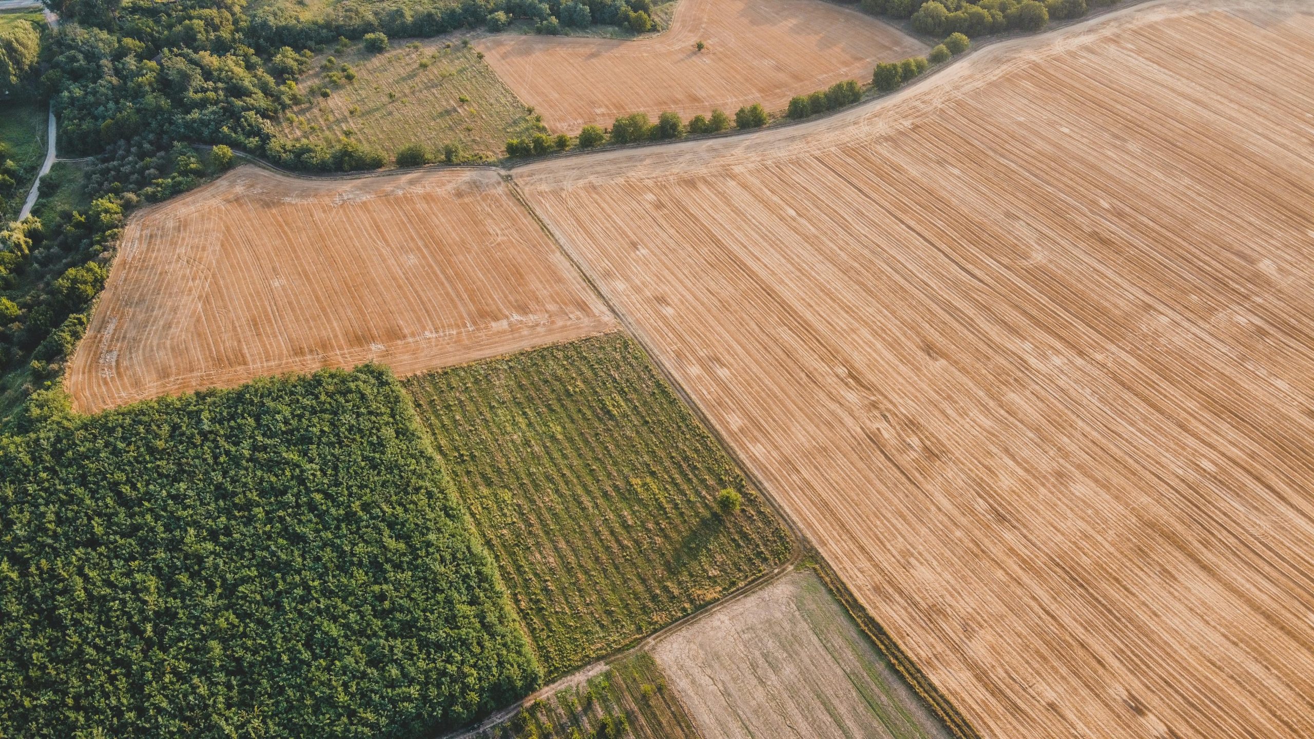 Frais notaire terrain agricole combien coûte