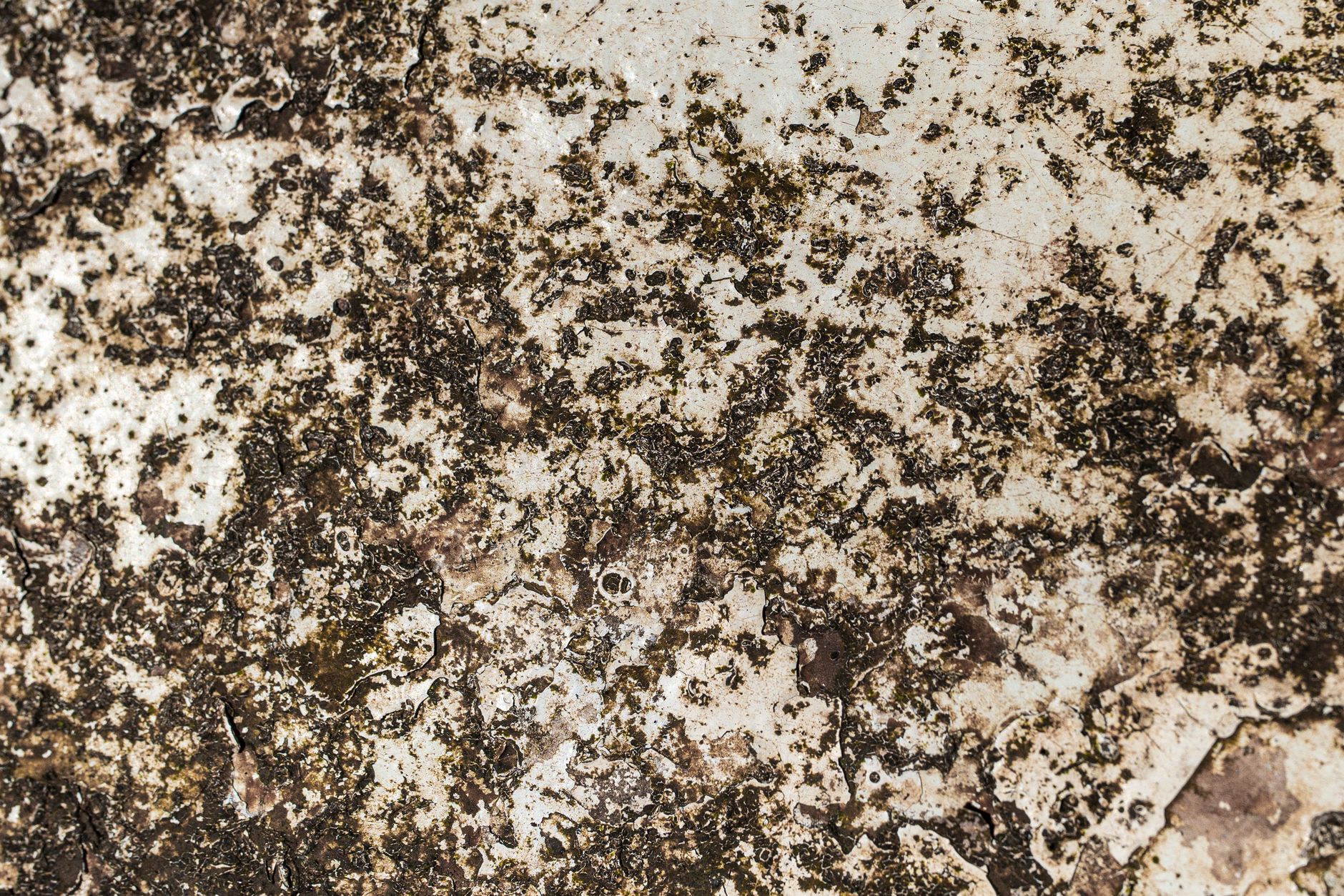 Gros plan sur une texture de rouille orangée