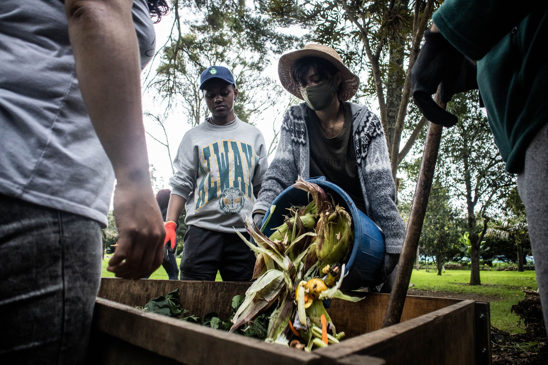 Épluchures de légumes triées dans un bac à compost