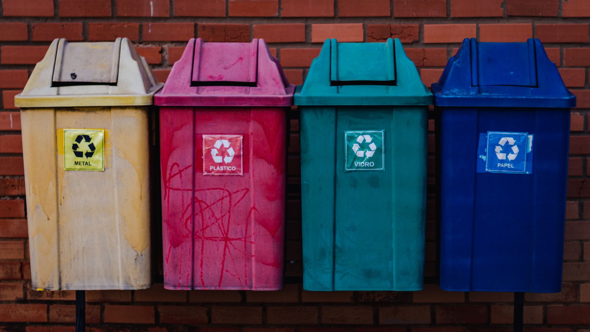Poubelles de tri colorées dans un jardin